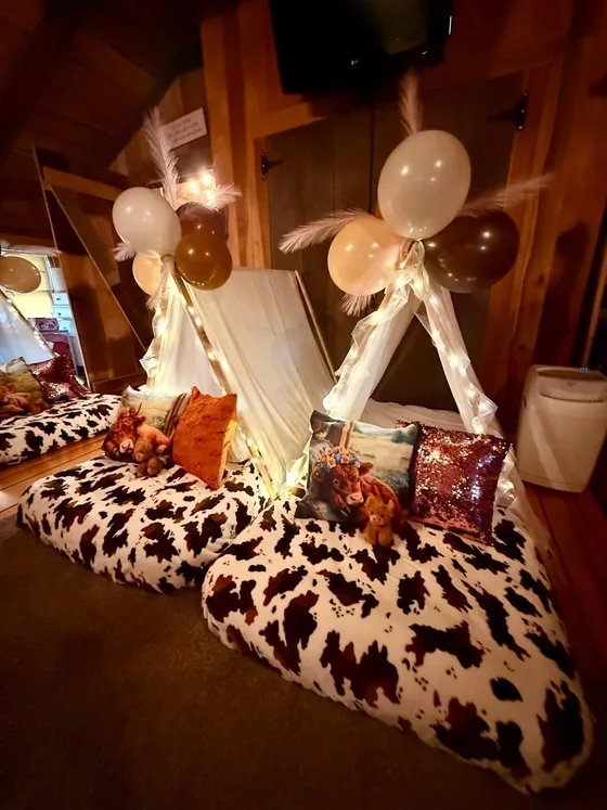 Highland Cow sleepover setup: Udderly cozy.